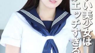 h 1462pyu00482pl