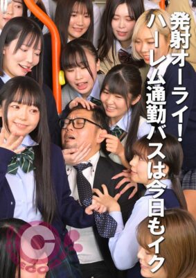 h 1462pyu00483pl