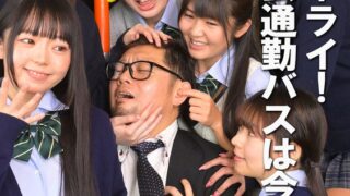 h 1462pyu00483pl