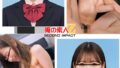 h 1732orecs00601pl