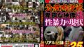 公衆肉便器 卑猥な映像 性暴力の現状3 25人【無料試聴】 44 jktu00104pl
